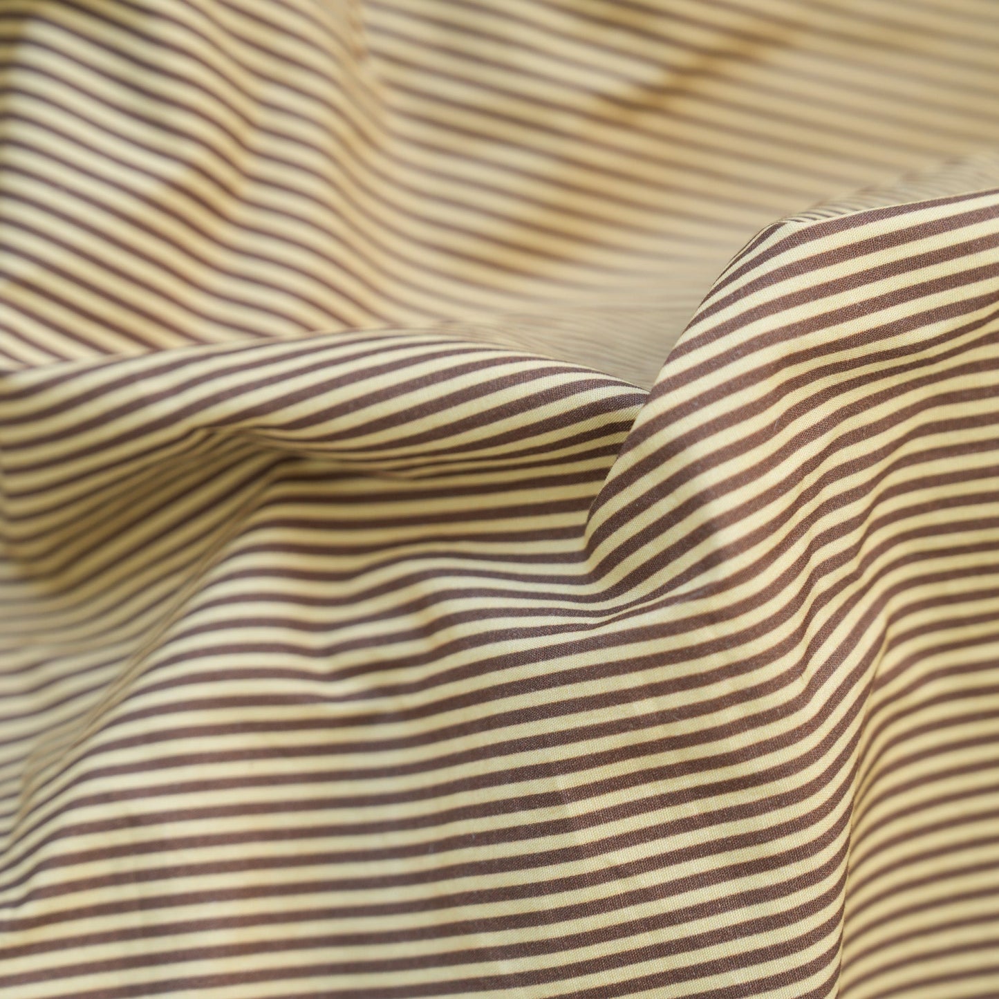 Biscotti Stripe - PRE ORDER